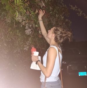 Meet your Posher, Zion